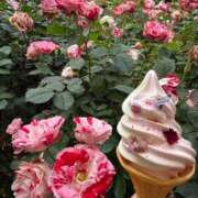 美羽 綾乃 今週の出勤予定👼💓、、、遅くなりました🥲 東京貴楼館