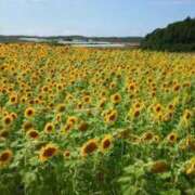 ヒメ日記 2025/08/04 12:19 投稿 いお 熟女の風俗最終章 新潟店