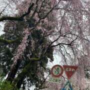 ヒメ日記 2025/04/15 12:57 投稿 ゆず 熟女の風俗最終章 池袋店