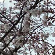 春乃(はるの) まだいるよん 京都泡洗体ハイブリッドエステ