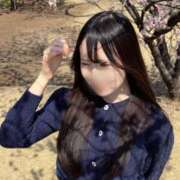 ヒメ日記 2025/03/23 14:56 投稿 はれい★乃木坂系！名門大JD★ 渋谷S級素人清楚系デリヘル chloe