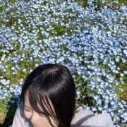 ヒメ日記 2025/05/11 17:18 投稿 はれい★乃木坂系！名門大JD★ 渋谷S級素人清楚系デリヘル chloe