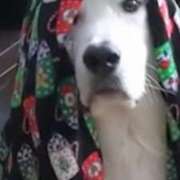 伍代 夏子 退勤のお時間になったので…… 熟女・人妻マダム宮殿