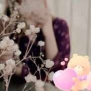 ヒメ日記 2025/03/21 18:04 投稿 寺坂ひびき メリッサ東京 品川店