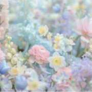 ヒメ日記 2025/05/26 16:54 投稿 寺坂ひびき メリッサ東京 品川店