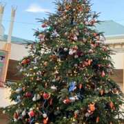 ヒメ日記 2025/11/16 15:41 投稿 なぎ クレイジーキャバクラ パニック