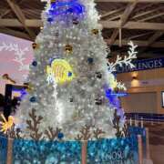 ヒメ日記 2025/11/25 17:50 投稿 なぎ クレイジーキャバクラ パニック