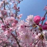 ヒメ日記 2025/05/07 17:08 投稿 ゆずき 京都回春性感マッサージ倶楽部