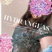 ヒメ日記 2025/06/14 09:48 投稿 ゆずき 京都回春性感マッサージ倶楽部