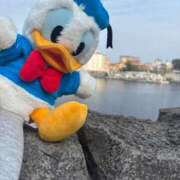 ヒメ日記 2025/04/29 18:21 投稿 ちこ アロー