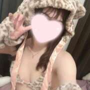 ヒメ日記 2025/05/18 14:14 投稿 ちこ アロー