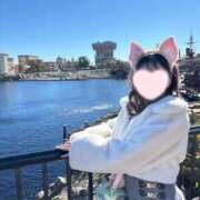 ヒメ日記 2025/05/26 08:23 投稿 ちこ アロー