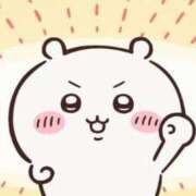 ヒメ日記 2025/07/19 15:43 投稿 ちこ アロー