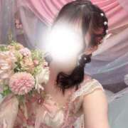 ヒメ日記 2026/04/07 13:34 投稿 ちこ アロー