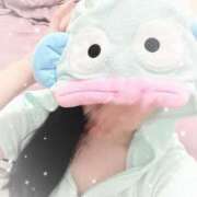 ヒメ日記 2026/04/14 09:01 投稿 ちこ アロー