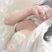 ヒメ日記 2026/04/17 11:00 投稿 ちこ アロー