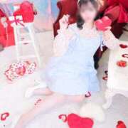 ヒメ日記 2026/04/17 12:02 投稿 ちこ アロー