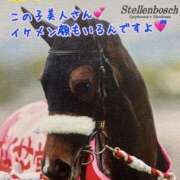 ヒメ日記 2025/05/19 16:28 投稿 さち セレブクエスト-omiya-