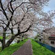 ヒメ日記 2025/03/30 16:01 投稿 めぐ ぽっちゃり巨乳素人専門 埼玉越谷ちゃんこ