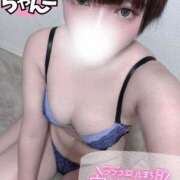 ヒメ日記 2025/04/03 19:01 投稿 めぐ ぽっちゃり巨乳素人専門 埼玉越谷ちゃんこ