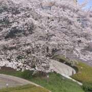 ヒメ日記 2025/04/07 18:20 投稿 めぐ ぽっちゃり巨乳素人専門 埼玉越谷ちゃんこ