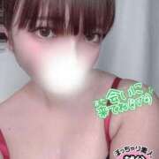 ヒメ日記 2025/04/08 02:07 投稿 めぐ ぽっちゃり巨乳素人専門 埼玉越谷ちゃんこ