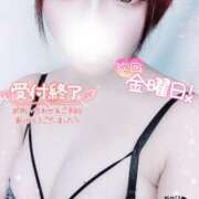 ヒメ日記 2025/05/02 05:37 投稿 めぐ ぽっちゃり巨乳素人専門 埼玉越谷ちゃんこ