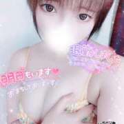 ヒメ日記 2025/05/03 03:31 投稿 めぐ ぽっちゃり巨乳素人専門 埼玉越谷ちゃんこ