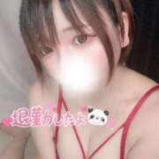 ヒメ日記 2025/07/04 04:21 投稿 めぐ ぽっちゃり巨乳素人専門 埼玉越谷ちゃんこ