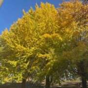 ヒメ日記 2025/11/24 15:02 投稿 ももな ぽっちゃり巨乳美女専門川越ちゃんこ