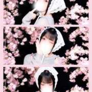 ヒメ日記 2026/03/22 12:01 投稿 ももな ぽっちゃり巨乳美女専門川越ちゃんこ