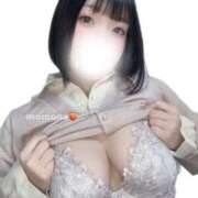 ヒメ日記 2026/04/11 12:01 投稿 ももな ぽっちゃり巨乳美女専門川越ちゃんこ