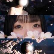 ヒメ日記 2026/04/19 15:01 投稿 ももな ぽっちゃり巨乳美女専門川越ちゃんこ