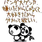 ヒメ日記 2025/03/03 02:46 投稿 ひかり 桜フェアリーテイル