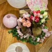 ヒメ日記 2025/04/28 14:01 投稿 ひかり 桜フェアリーテイル