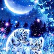 ヒメ日記 2025/06/14 10:26 投稿 ひかり 桜フェアリーテイル