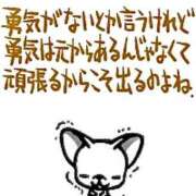 ひかり 🍀優しい声かけ🍀 桜フェアリーテイル