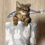 ヒメ日記 2025/12/22 13:49 投稿 ひかり 桜フェアリーテイル