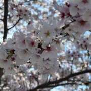 ヒメ日記 2025/04/08 08:38 投稿 ともよ 熟女家 堺東店