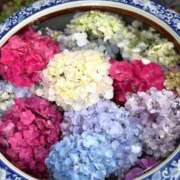 ヒメ日記 2025/06/08 10:28 投稿 ともよ 熟女家 堺東店