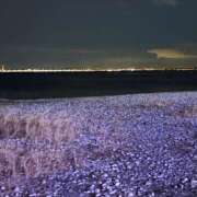 ヒメ日記 2025/06/14 22:48 投稿 ともよ 熟女家 堺東店