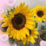 ヒメ日記 2025/08/01 07:37 投稿 ともよ 熟女家 堺東店