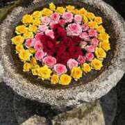 ヒメ日記 2025/09/04 09:47 投稿 ともよ 熟女家 堺東店