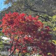 ヒメ日記 2025/10/30 21:57 投稿 ともよ 熟女家 堺東店