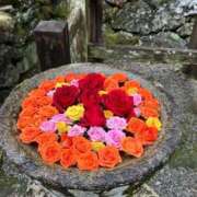 ヒメ日記 2026/01/02 23:27 投稿 ともよ 熟女家 堺東店