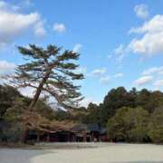 ヒメ日記 2026/01/16 09:47 投稿 ともよ 熟女家 堺東店