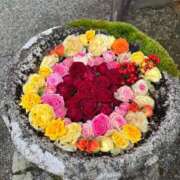 ヒメ日記 2026/01/30 10:47 投稿 ともよ 熟女家 堺東店