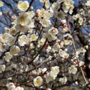 ヒメ日記 2026/02/16 10:23 投稿 ともよ 熟女家 堺東店