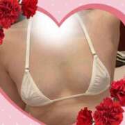 ヒメ日記 2026/04/19 09:31 投稿 ともよ 熟女家 堺東店