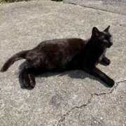 ヒメ日記 2025/02/24 17:06 投稿 ねお feel＆airi